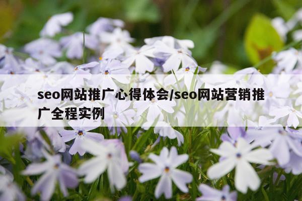 seo网站推广心得体会/seo网站营销推广全程实例