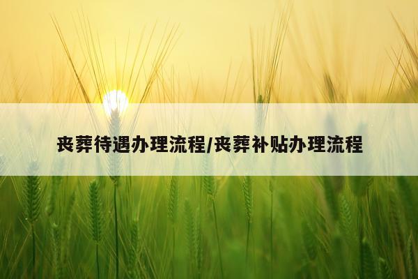 丧葬待遇办理流程/丧葬补贴办理流程