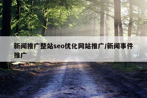 新闻推广整站seo优化网站推广/新闻事件推广