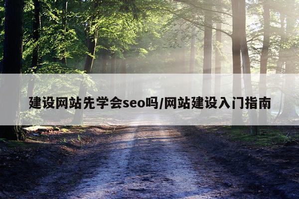 建设网站先学会seo吗/网站建设入门指南