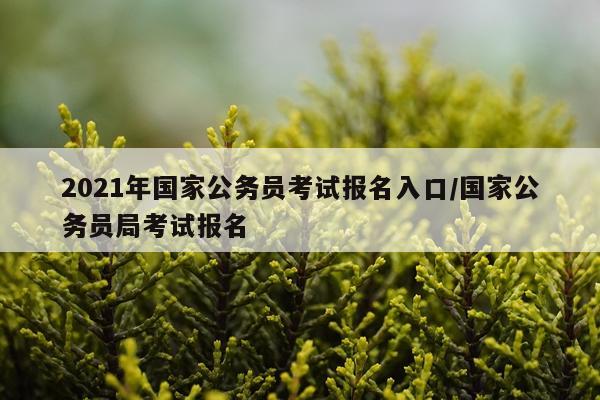 2021年国家公务员考试报名入口/国家公务员局考试报名