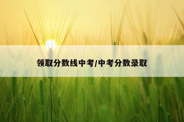 领取分数线中考/中考分数录取