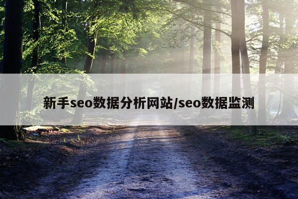 新手seo数据分析网站/seo数据监测