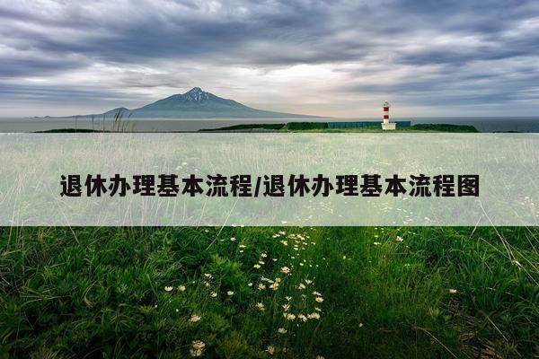 退休办理基本流程/退休办理基本流程图