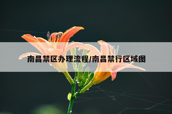 南昌禁区办理流程/南昌禁行区域图