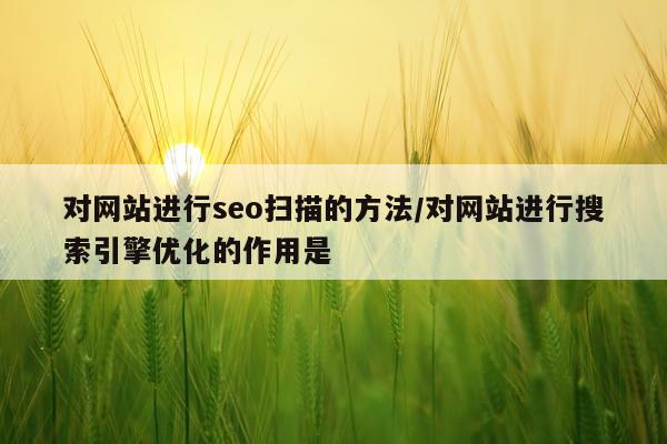 对网站进行seo扫描的方法/对网站进行搜索引擎优化的作用是