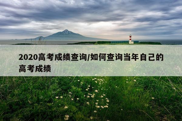 2020高考成绩查询/如何查询当年自己的高考成绩