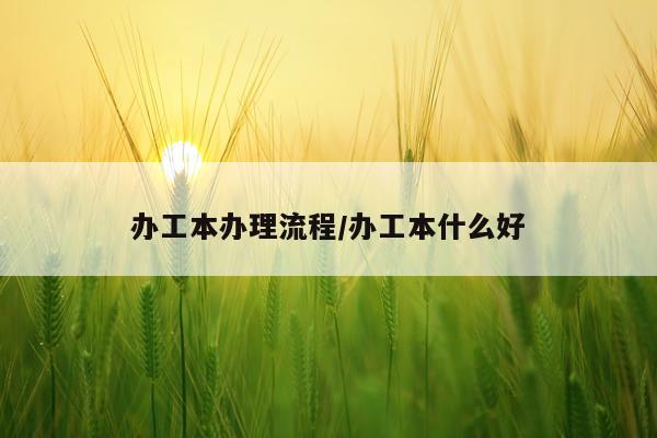 办工本办理流程/办工本什么好