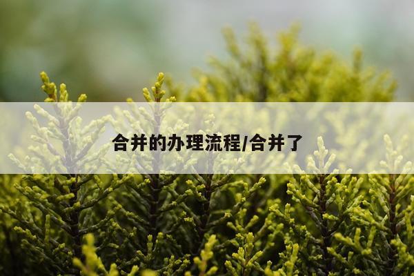 合并的办理流程/合并了
