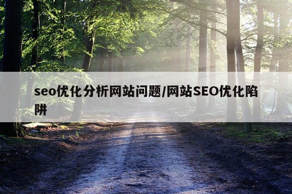 seo优化分析网站问题/网站SEO优化陷阱