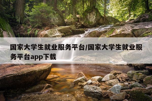 国家大学生就业服务平台/国家大学生就业服务平台app下载