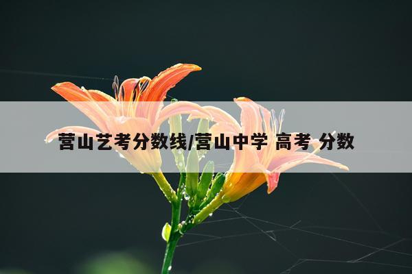 营山艺考分数线/营山中学 高考 分数