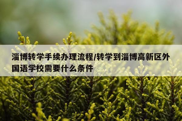 淄博转学手续办理流程/转学到淄博高新区外国语学校需要什么条件