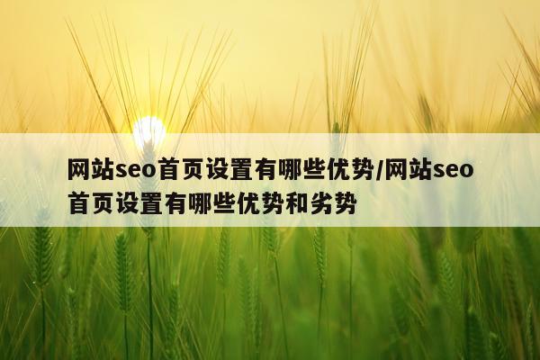 网站seo首页设置有哪些优势/网站seo首页设置有哪些优势和劣势