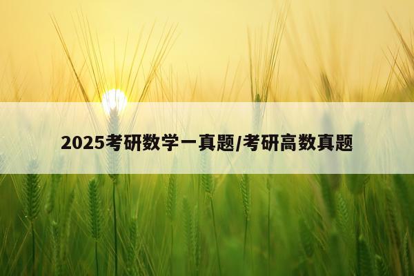 2025考研数学一真题/考研高数真题