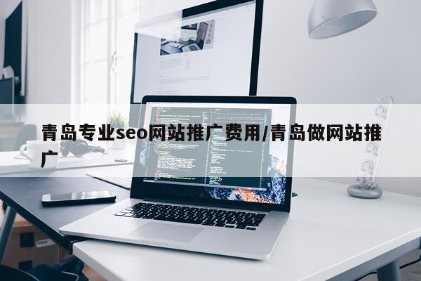 青岛专业seo网站推广费用/青岛做网站推广