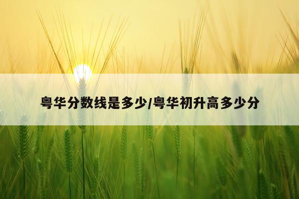 粤华分数线是多少/粤华初升高多少分