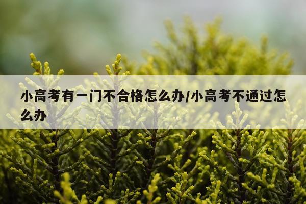 小高考有一门不合格怎么办/小高考不通过怎么办