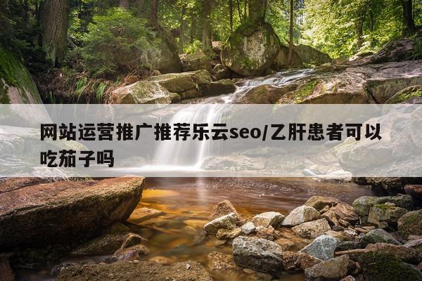 网站运营推广推荐乐云seo/乙肝患者可以吃茄子吗