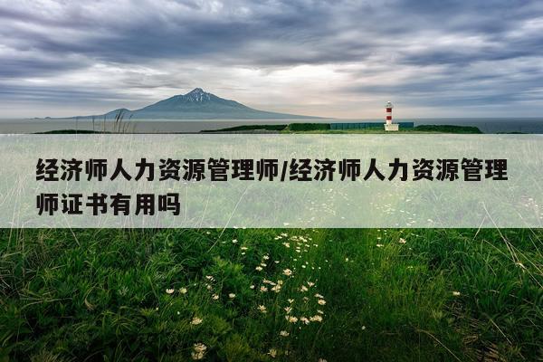 经济师人力资源管理师/经济师人力资源管理师证书有用吗