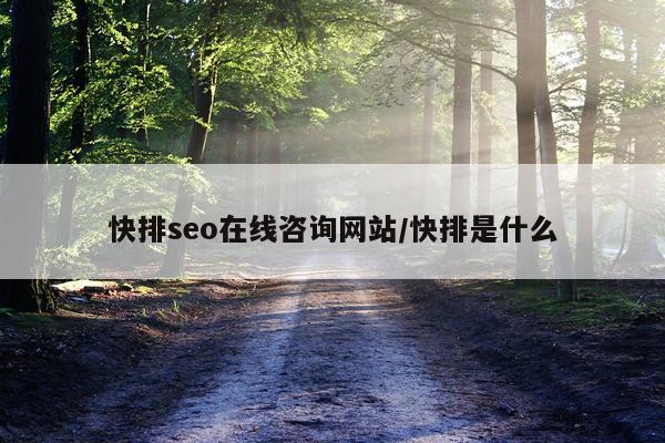 快排seo在线咨询网站/快排是什么