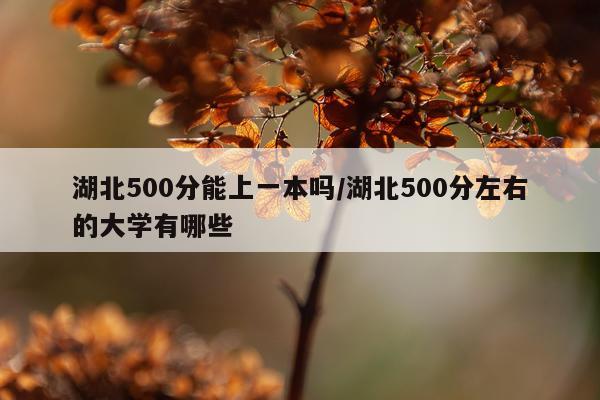 湖北500分能上一本吗/湖北500分左右的大学有哪些