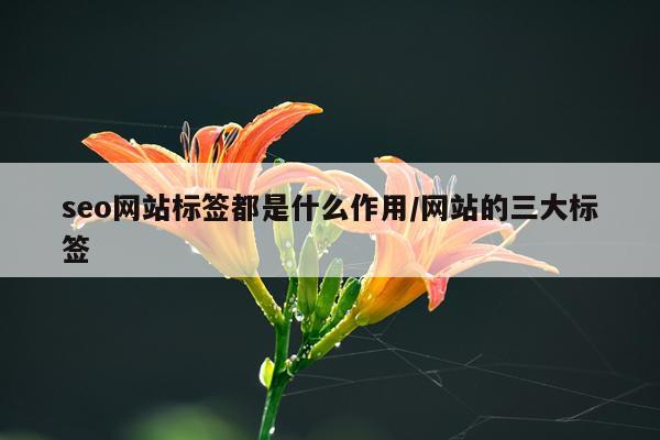 seo网站标签都是什么作用/网站的三大标签