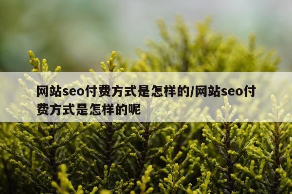 网站seo付费方式是怎样的/网站seo付费方式是怎样的呢