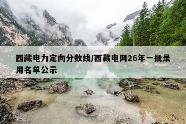 西藏电力定向分数线/西藏电网26年一批录用名单公示