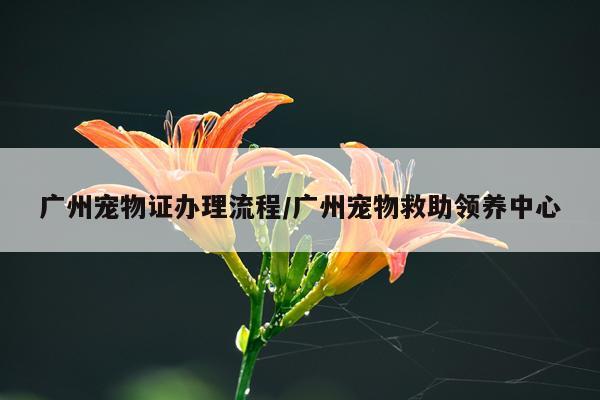 广州宠物证办理流程/广州宠物救助领养中心