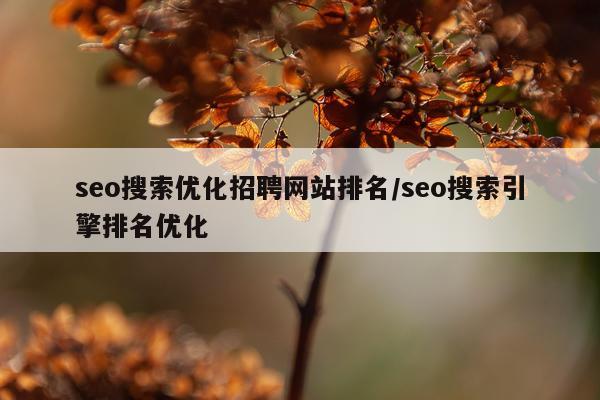 seo搜索优化招聘网站排名/seo搜索引擎排名优化