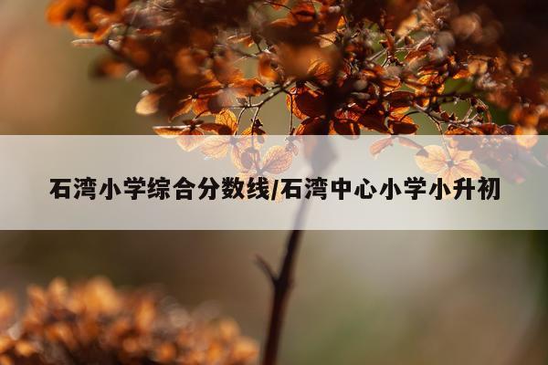 石湾小学综合分数线/石湾中心小学小升初