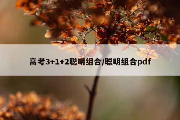 高考3+1+2聪明组合/聪明组合pdf