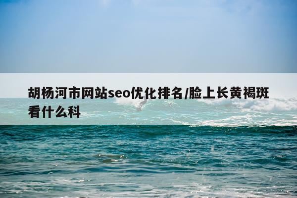 胡杨河市网站seo优化排名/脸上长黄褐斑看什么科