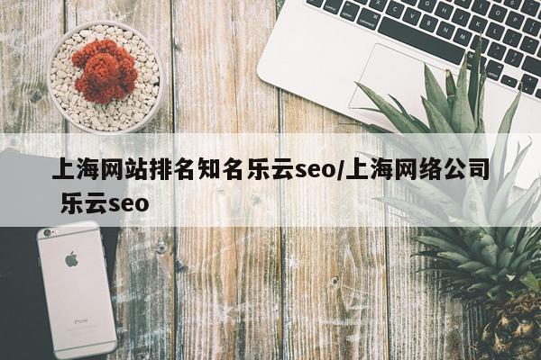 上海网站排名知名乐云seo/上海网络公司 乐云seo