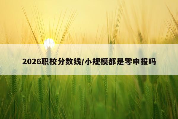 2026职校分数线/小规模都是零申报吗