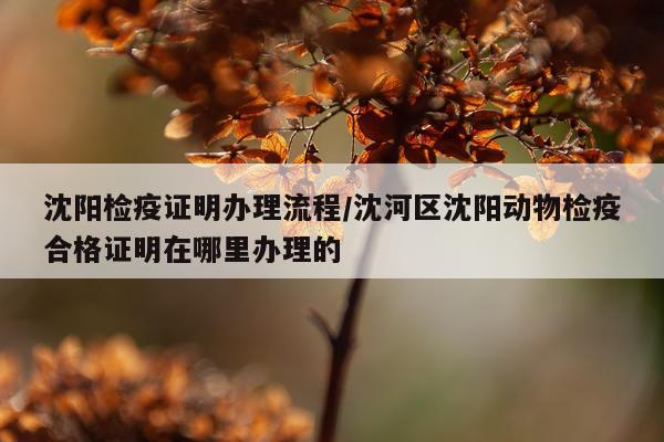 沈阳检疫证明办理流程/沈河区沈阳动物检疫合格证明在哪里办理的