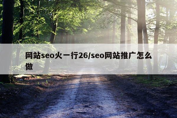 网站seo火一行26/seo网站推广怎么做