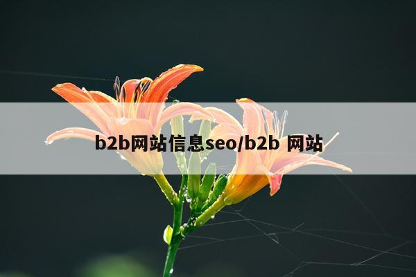b2b网站信息seo/b2b 网站