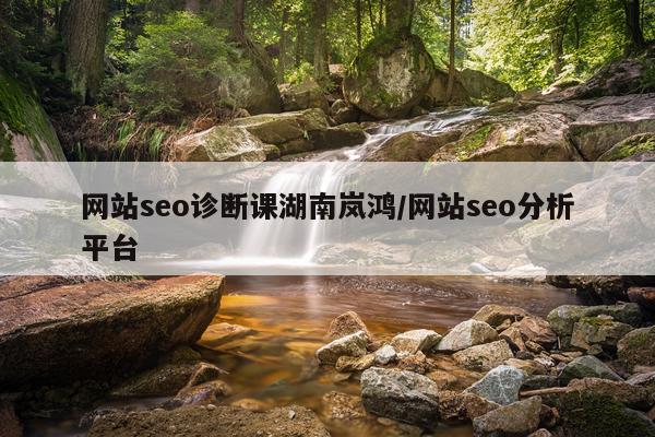 网站seo诊断课湖南岚鸿/网站seo分析平台