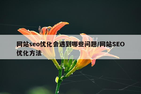 网站seo优化会遇到哪些问题/网站SEO优化方法