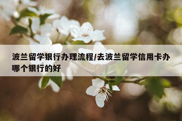 波兰留学银行办理流程/去波兰留学信用卡办哪个银行的好