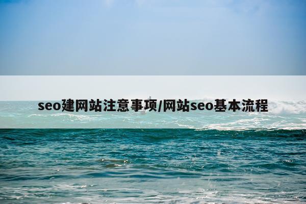 seo建网站注意事项/网站seo基本流程