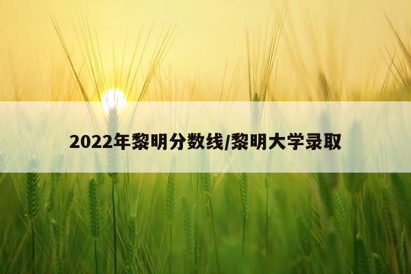 2022年黎明分数线/黎明大学录取
