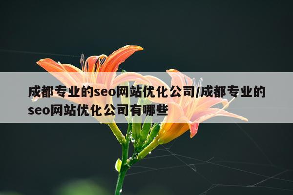 成都专业的seo网站优化公司/成都专业的seo网站优化公司有哪些