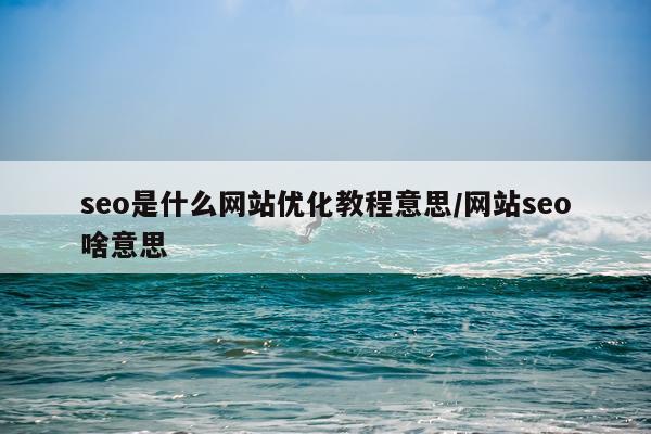seo是什么网站优化教程意思/网站seo啥意思
