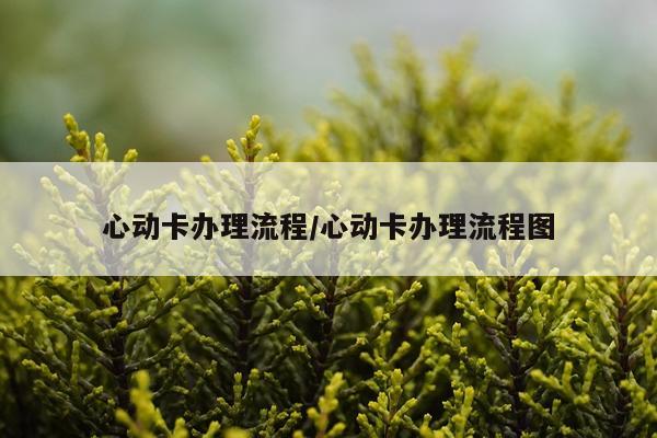 心动卡办理流程/心动卡办理流程图