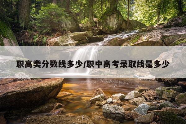 职高类分数线多少/职中高考录取线是多少