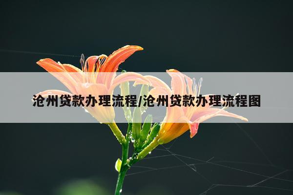 沧州贷款办理流程/沧州贷款办理流程图