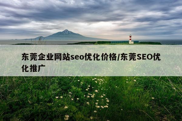 东莞企业网站seo优化价格/东莞SEO优化推广